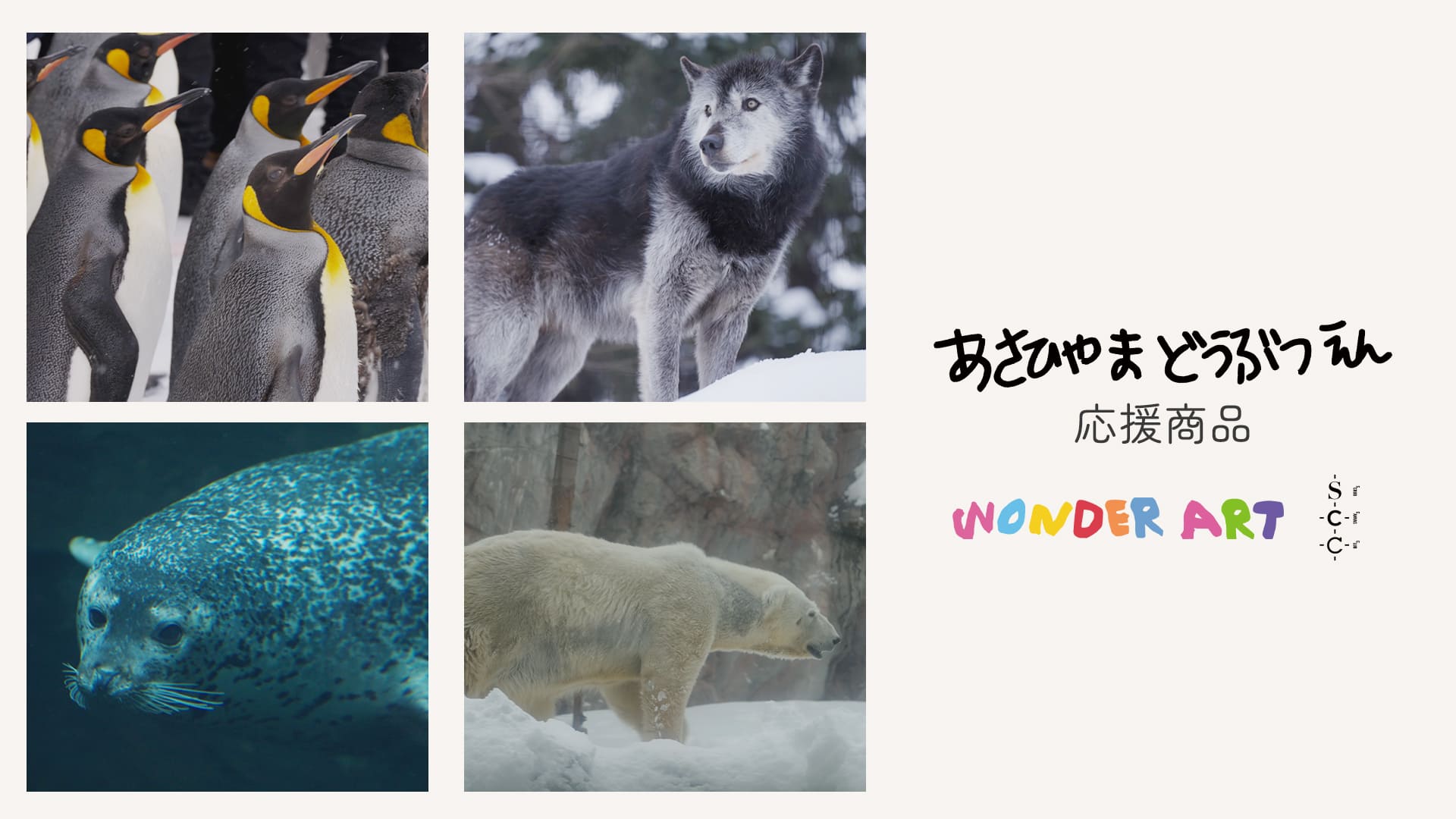 情報解禁】旭山動物園・ワンダーアートとのプロジェクトが始動